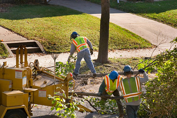 Lawn Drainage Solutions in Crandall, TX